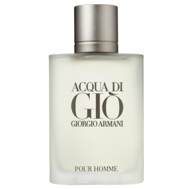 ACQUA DI GIO MEN EDT 100ML