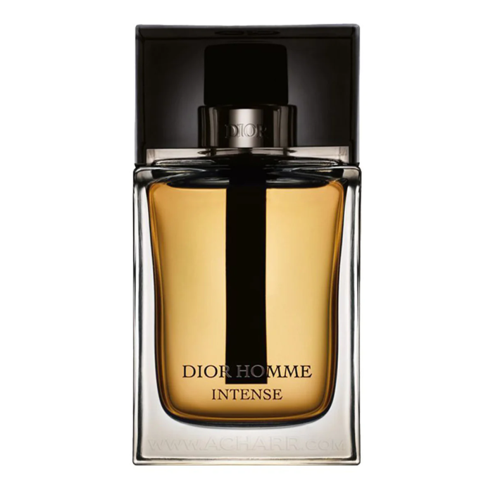 DIOR HOMME INTENSE EDP 100ML - Perfumetics